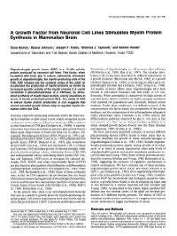 A Growth Factor from Neuronal Cell Lines Stimulates Myelin Protein Synthesis in Mammalian Brain