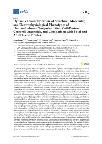 Dynamic Characterization of Structural, Molecular, And