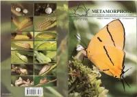 Metamorphosis Vol 21(1) 1-44 March 2010.Pdf