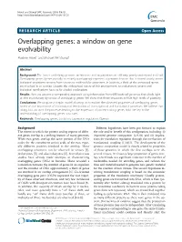 Overlapping Genes: a Window on Gene Evolvability Maxime Huvet* and Michael PH Stumpf