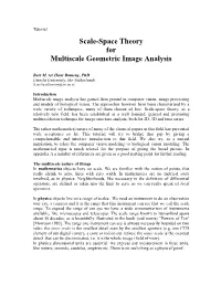 Scale-Space Theory for Multiscale Geometric Image Analysis
