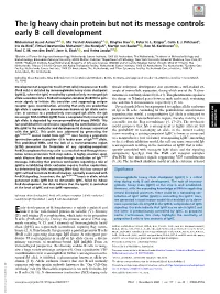The Ig Heavy Chain Protein but Not Its Message Controls Early B Cell Development