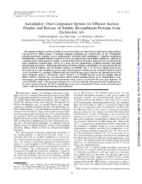 Autodisplay: One-Component System for Efficient Surface Display And