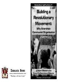 Building a Revolutionary Movement: Why Anarchist-Communist