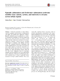 Episodic Salinization and Freshwater Salinization Syndrome Mobilize Base Cations, Carbon, and Nutrients to Streams Across Urban Regions