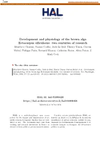 Development and Physiology of the Brown Alga Ectocarpus Siliculosus