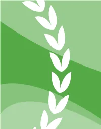Nature in Calabria Is Generous for the Extension Of