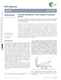 Towards Bioinspired in Vitro Models of Intestinal Mucus