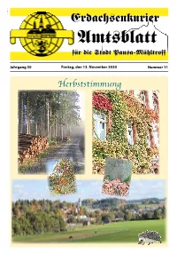 Herbststimmung 2 Erdachsenkurier · 13
