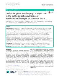 Horizontal Gene Transfer Plays a Major Role in the Pathological Convergence of Xanthomonas Lineages on Common Bean Nicolas W