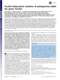 Parallel Independent Evolution of Pathogenicity Within the Genus Yersinia