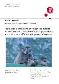 Population Genetic and Phylogenetic Studies on Trichuris Spp. Recovered from Pigs, Humans and Baboons in Different Geographical Regions