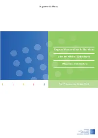 Rapport De Synthèse Sur Le Pluralisme