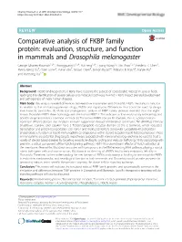 Comparative Analysis of FKBP Family Protein: Evaluation, Structure, and Function in Mammals and Drosophila Melanogaster