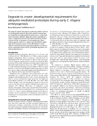 Developmental Requirements for Ubiquitin-Mediated Proteolysis