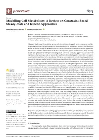 Modelling Cell Metabolism: a Review on Constraint-Based Steady-State and Kinetic Approaches