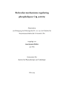Molecular Mechanisms Regulating Phospholipase C-Γ2 Activity