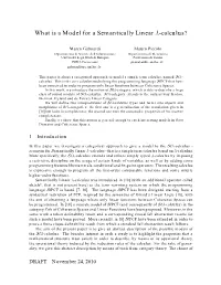 What Is a Model for a Semantically Linear Λ-Calculus?