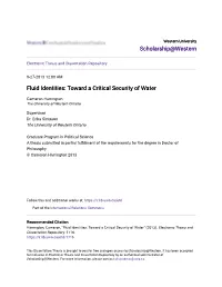 Fluid Identities: Toward a Critical Security of Water