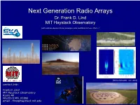 Next Generation Radio Arrays