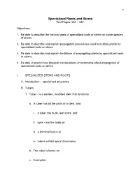 Specialized Roots and Stems Text Pages: 561 – 587