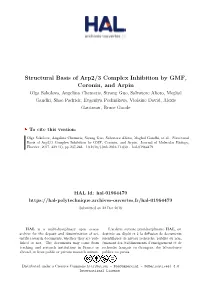 Structural Basis of Arp2/3 Complex Inhibition by GMF, Coronin, and Arpin