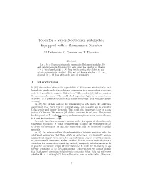 Topoi for a Super-Noetherian Subalgebra Equipped with a Riemannian Number
