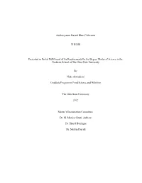1 Anthocyanin Based Blue Colorants THESIS
