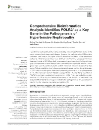 Comprehensive Bioinformatics Analysis Identifies POLR2I As a Key