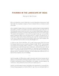 Figuring in the Landscape of Ideas