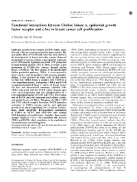 Functional Interactions Between Choline Kinase Α, Epidermal Growth