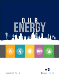 Annual Report 2 0