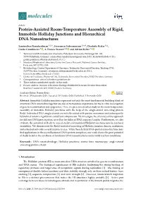 Protein-Assisted Room-Temperature Assembly of Rigid, Immobile Holliday Junctions and Hierarchical DNA Nanostructures