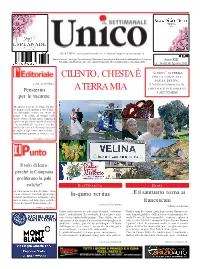 Cilento, Chesta È Per La Consueta Pausa Estiva