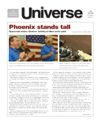 Phoenix Stands Tall