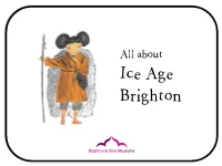 Ice Age Brighton Ice Age