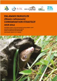 Palawan Pangolin