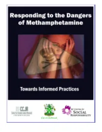 Responding to the Meth Problem: Towards Informed Practice