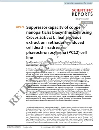 Suppressor Capacity of Copper Nanoparticles Biosynthesized Using Crocus Sativus L. Leaf Aqueous Extract on Methadone-Induced