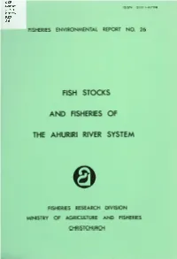 The Ahuriri River System