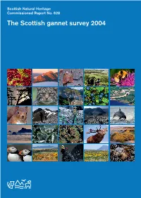 SNH Commissioned Report 628: the Scottish Gannet Survey 2004