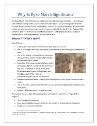 Why Is Dyke Marsh Significant?