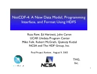 A New Data Model, Programming Interface, and Format Using HDF5