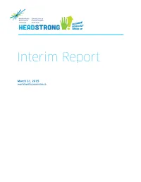 Interim Report