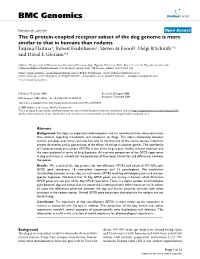 The G Protein-Coupled Receptor Subset of the Dog Genome Is More Similar