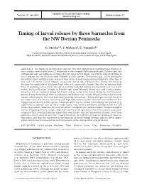 Timing of Larval Release by Three Barnacles from the NW Iberian Peninsula