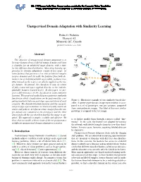 Unsupervised Domain Adaptation with Similarity Learning