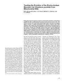 1998 Tracking the Evolution of the Elusive Andean Mountain Cat From