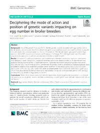 Deciphering the Mode of Action and Position of Genetic Variants