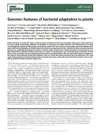 Genomic Features of Bacterial Adaptation to Plants